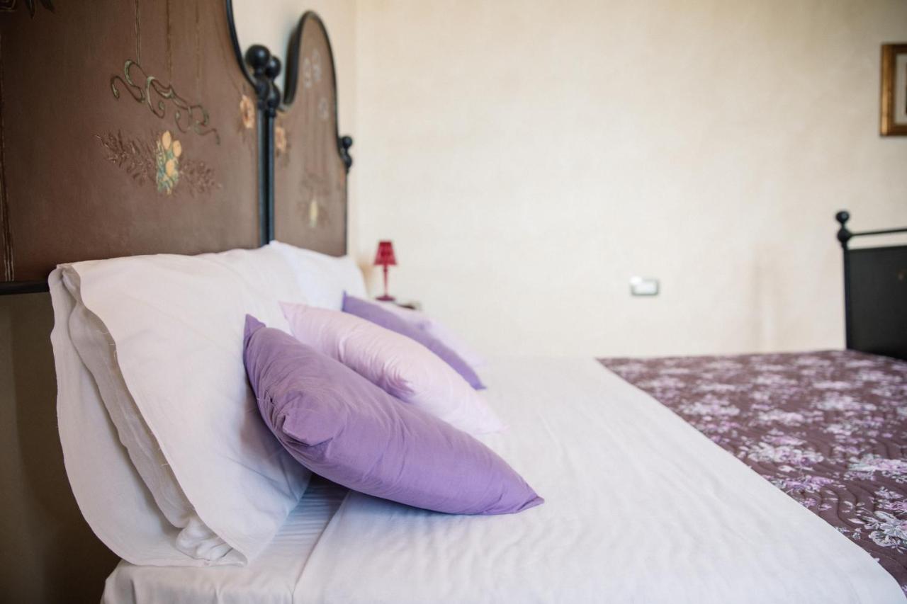 Villa Mascitti B&B Tortoreto Alto Exteriér fotografie