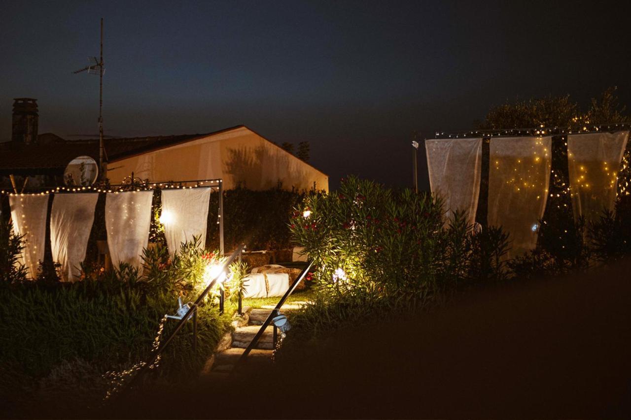 Villa Mascitti B&B Tortoreto Alto Exteriér fotografie