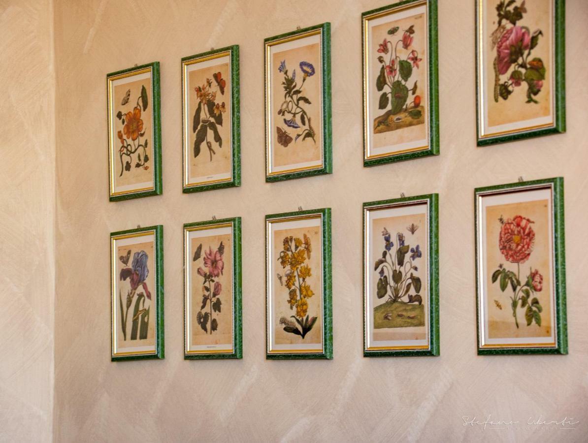 Villa Mascitti B&B Tortoreto Alto Exteriér fotografie