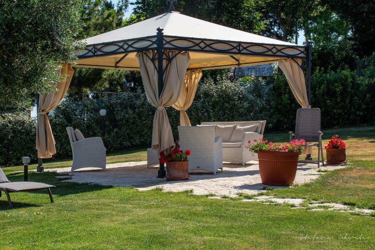 Villa Mascitti B&B Tortoreto Alto Exteriér fotografie
