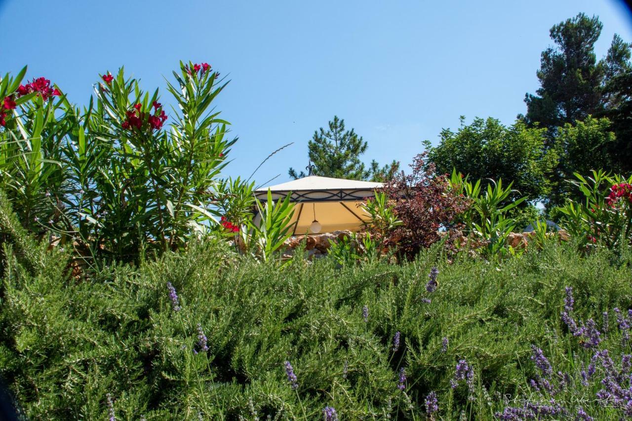 Villa Mascitti B&B Tortoreto Alto Exteriér fotografie