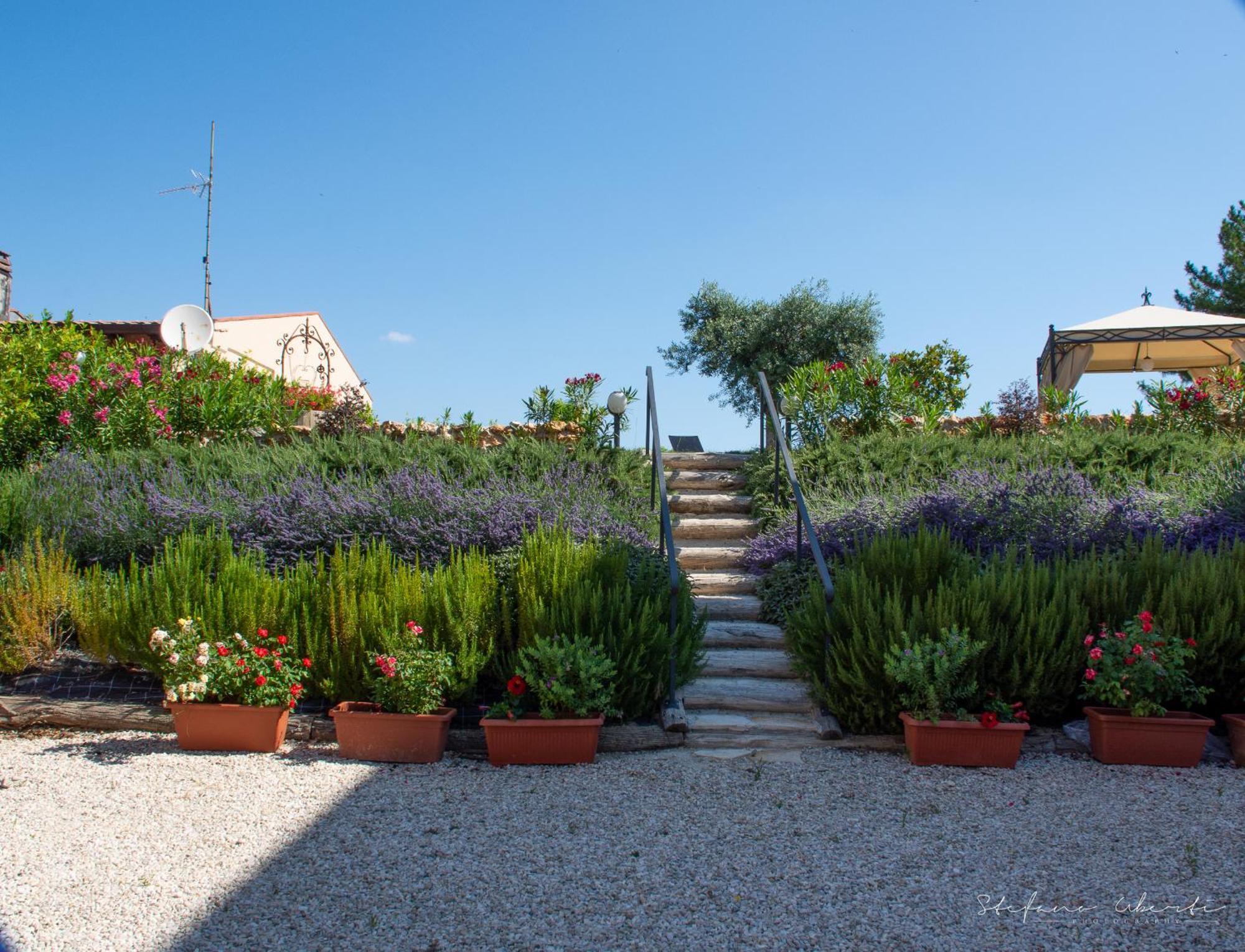 Villa Mascitti B&B Tortoreto Alto Exteriér fotografie